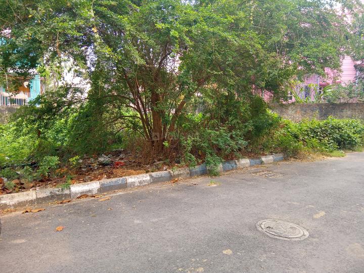 Urbana nri Main Image 1