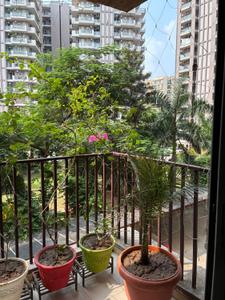 Balcony Image of 2200 Sq.ft 4 BHK Apartment / Flat for sale in Trishla City, Nabha Zirakpur for Rs. 16500000