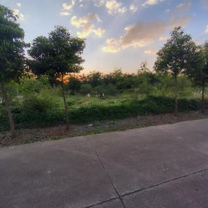 Image of 2800 Sq.ft Residential Plot / Land for sale in Nipania, Indore for Rs. 26600000