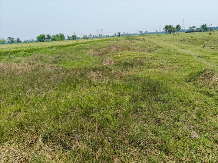 Sonarpur Main Image 1