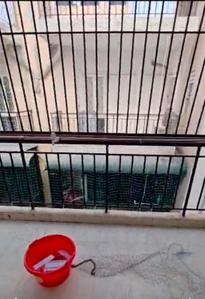 Balcony Image of 870 Sq.ft 2 BHK Builder Floor for rent in MGH Anandam Awaas, Sector-24 Dharuhera for Rs. 9900