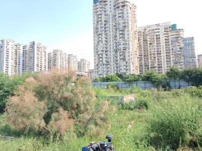 Image of 2250 Sq.ft Residential Plot / Land for sale in Centrum Estates 76, Sector 76, Noida for Rs. 49200000