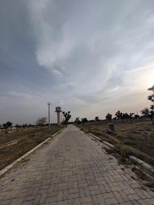 Image of 1250 Sq.ft Residential Plot / Land for sale in Nevta Village, Jaipur for Rs. 3055000