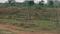 Tamando Main Image 1