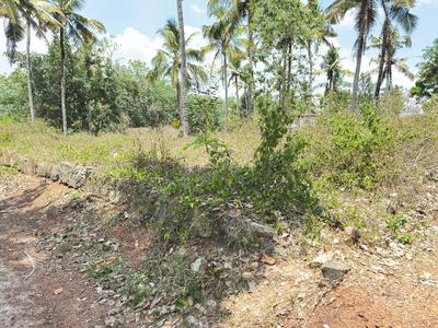 Image of 2023 Sq.ft Residential Plot / Land for sale in Chathannoor, Kollam for Rs. 17500000