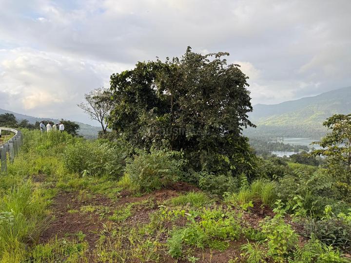 Vengale Main Image 1