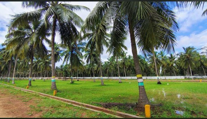Bhogapuram Main Image 1