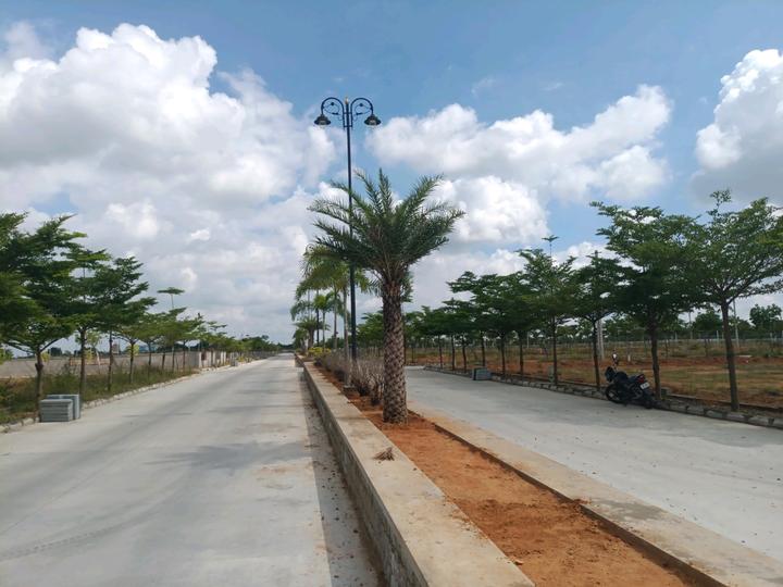 Chegunta Main Image 1