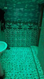 Bathroom Image of 4600 Sq.ft 8 BHK Independent House for sale in Sohagpur Shahdol for Rs. 12000000