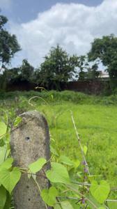 Image of 10890 Sq.ft Residential Plot / Land for sale in Goveli, Thane for Rs. 5500000