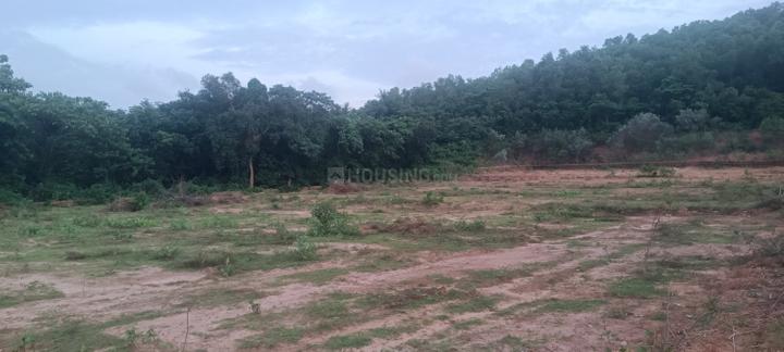 Kalinga Vihar Main Image 1