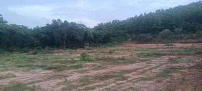 Kalinga Vihar Plot View 1