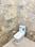 Ubber Golden Palm Apartments Bathroom 1