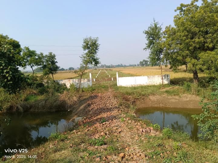 Bihta Main Image 1