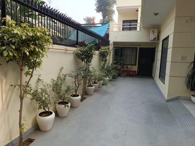 Sector 14 Balcony 1