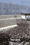 DLF Phase 4 Main Image 1