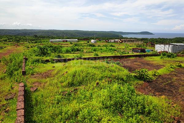 Sudhir Mandke Lighthouse Main Image 1