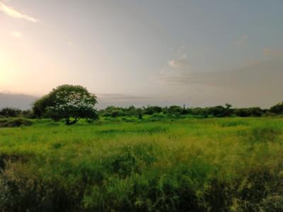 Image of 1000 Sq.ft Residential Plot / Land for sale in Swarajya Plot In Belondakhar, Belondakhar, Navi Mumbai for Rs. 700000