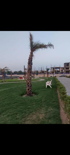 Mahindra sez Ajmer road Main Image 1