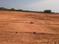 dakamarri Plot View 2