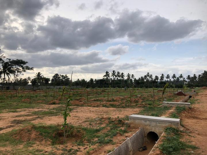 Yelachanayakanapura Main Image 1