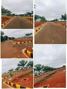 Residential Plot