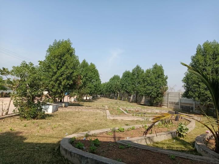 Kumhari Main Image 1