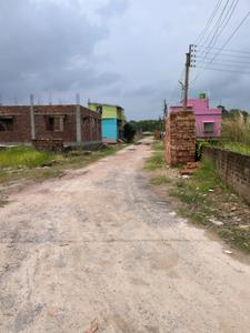 Dream City Kolkata Internal Roads 2