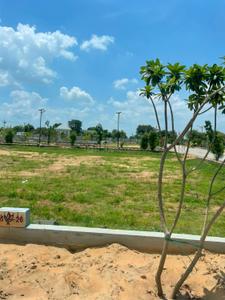 A K PLOTS Plot View 1