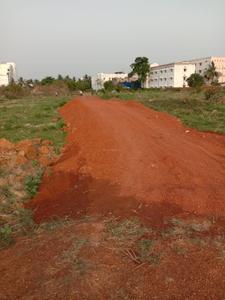 Tamando Plot View 1