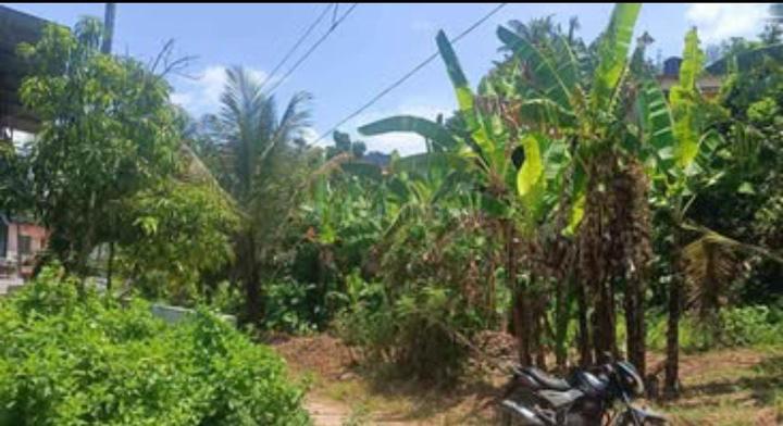 Akn Road Near Sreerishi Main Image 1