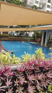Image of 1100 Sq.ft 2 BHK Apartment / Flat for rent in Kumar Pratham, Moshi, Pune for Rs. 28000
