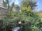Harikrupa Society 1 Plot View 2