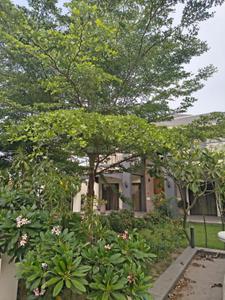 Image of 8694 Sq.ft 4 BHK Villa for sale in Vrundavan Bunglows 9, Thaltej, Ahmedabad for Rs. 217100000