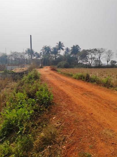 Near Pipli tollgate  Main Image 1