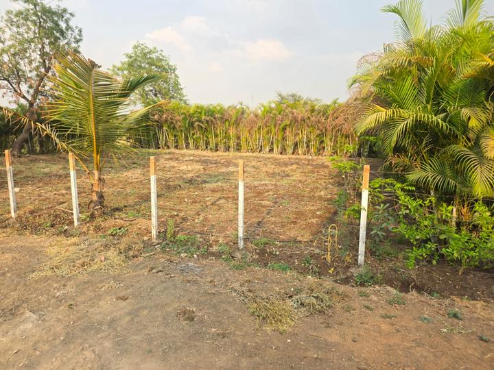 Jalapur Main Image 1