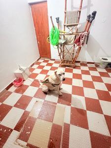 Bedroom Image of 1300 Sq.ft 3 BHK Independent House for sale in Jwalapur Haridwar for Rs. 6500000