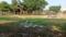 Gulmohar Estate, Eta I Plot View 2
