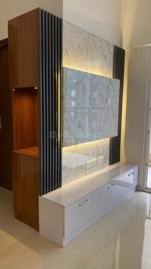 ACE Divino Main Image 1