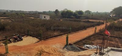 Adarsh gram andharua Plot View 3