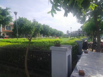 Sector 94 Plot View 2