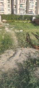 Image of 125 Sq.ft Residential Plot / Land for sale in Savfab Jasmine Grove, Wave City, Ghaziabad for Rs. 18750000
