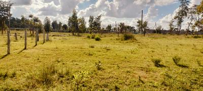 Residential Plot