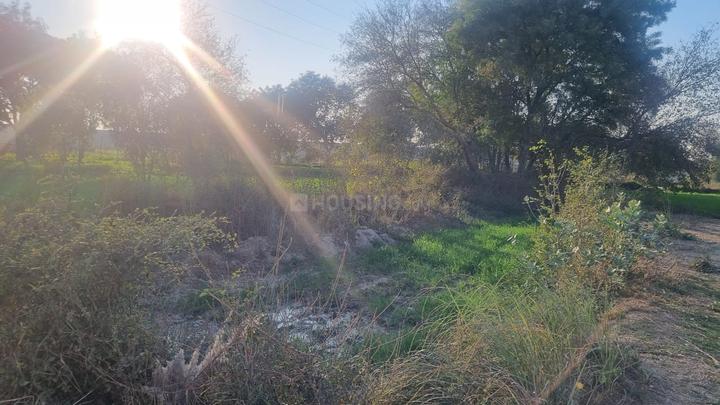 Surekapuram Colony, Teliyaganj Main Image 1