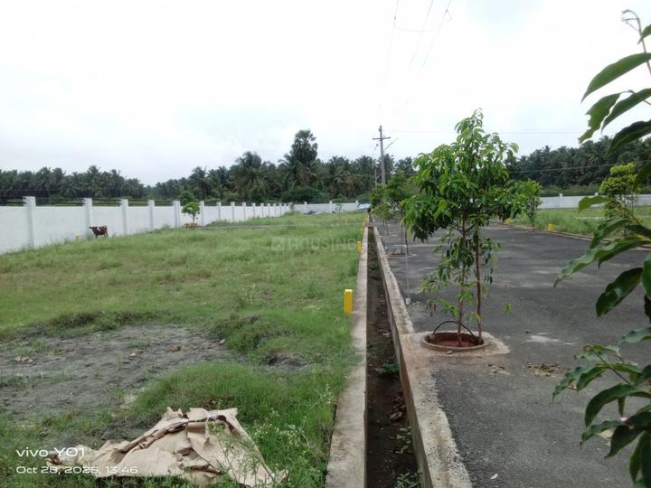 Achipatti Main Image 1