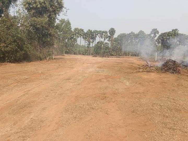 Pendurthi Main Image 1
