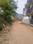 Gujrami Main Image 1