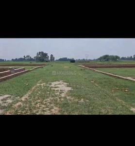 Image of 1000 Sq.ft Residential Plot / Land for sale in Sultanpur Road, Lucknow for Rs. 1000000