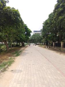 Image of 263 Sq.ft Residential Plot / Land for sale in Sector 17, Gurgaon for Rs. 68000000