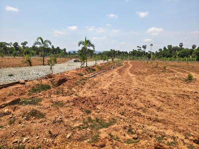 SS VALLEY Plot View 2